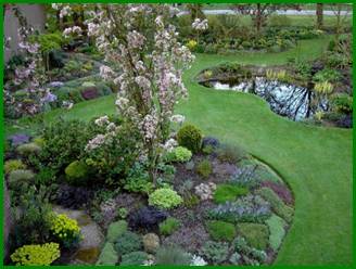 Afbeelding met gras, plant, natuur, tuin

Automatisch gegenereerde beschrijving