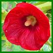 PICT1408 a web.jpg