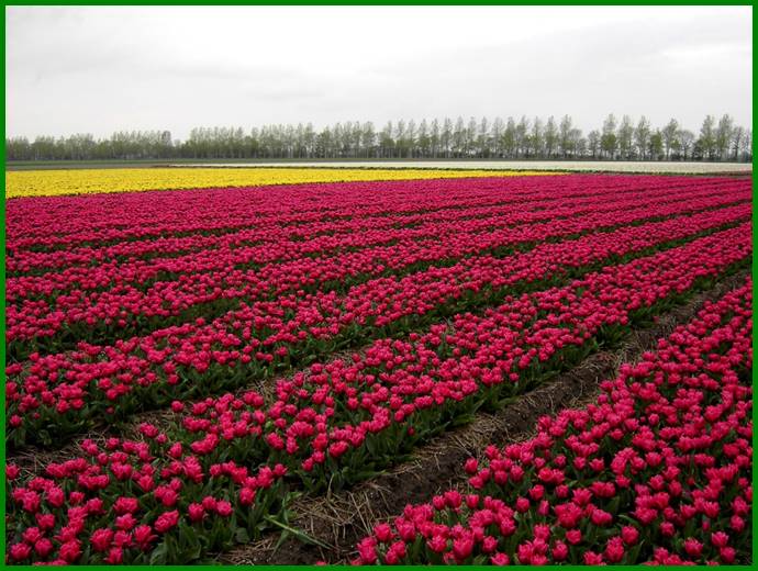 Afbeelding met gras, lucht, buiten, veld

Automatisch gegenereerde beschrijving