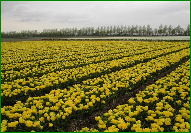 Afbeelding met lucht, buiten, gras, veld

Automatisch gegenereerde beschrijving