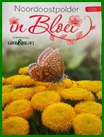 Afbeelding met tekst, vlinder, insect, Motten en vlinders

Door AI gegenereerde inhoud is mogelijk onjuist.