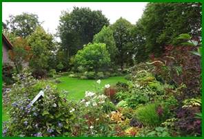 Afbeelding met boom, buiten, plant, tuin

Automatisch gegenereerde beschrijving